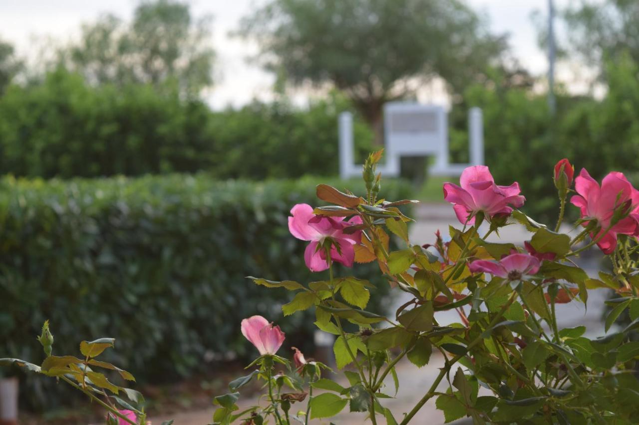 Agri-Resort Luxury Farm Marigliano Esterno foto